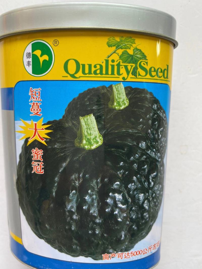 黑宝石南瓜种子果皮青黑色成熟后黑色一代杂交品种基地