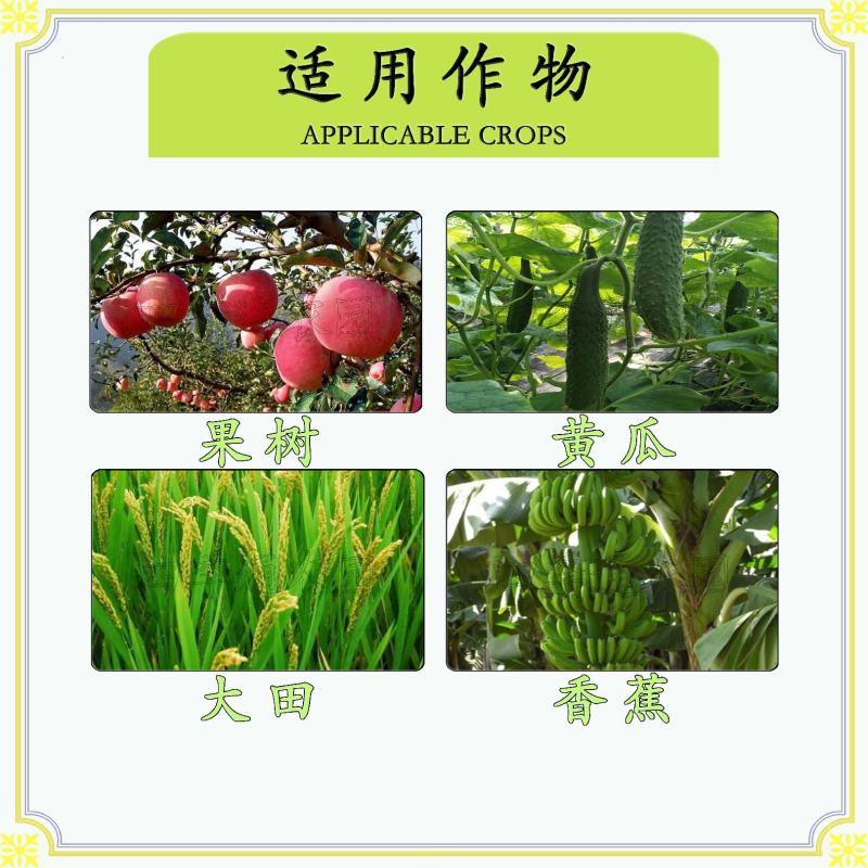 国光15%多效唑调节生长控制作物生长抑制茎秆伸长促进分藻