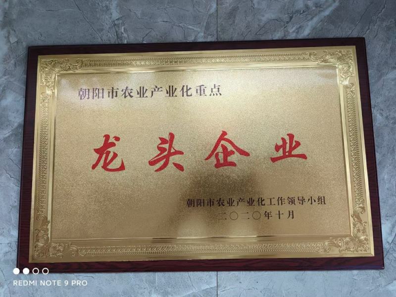 朝阳市红谷子小米礼箱装，（2022新米）一件代发，包邮。