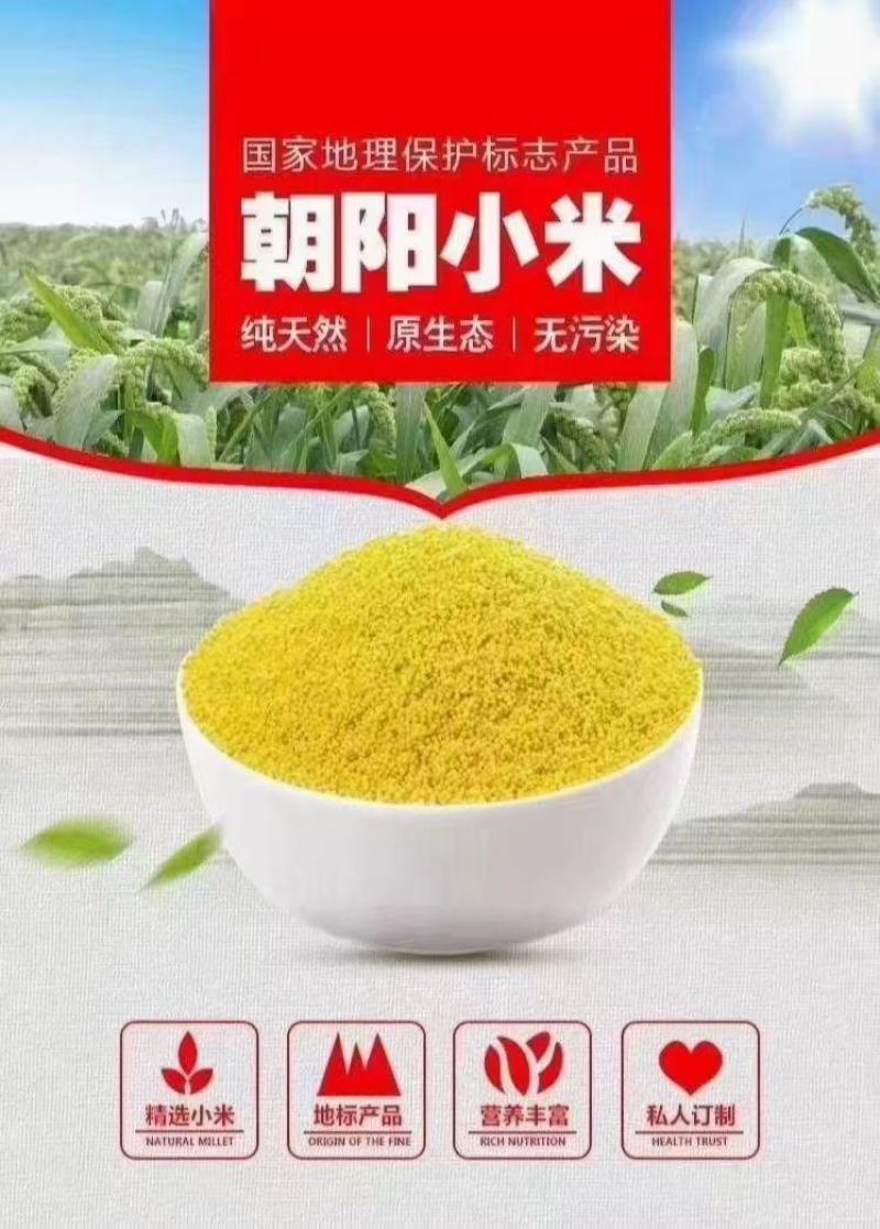 朝阳市红谷子小米礼箱装，（2022新米）一件代发，包邮。