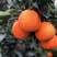 纽荷尔脐橙，果面干净，味道纯甜，产地大量供货，也可提供加