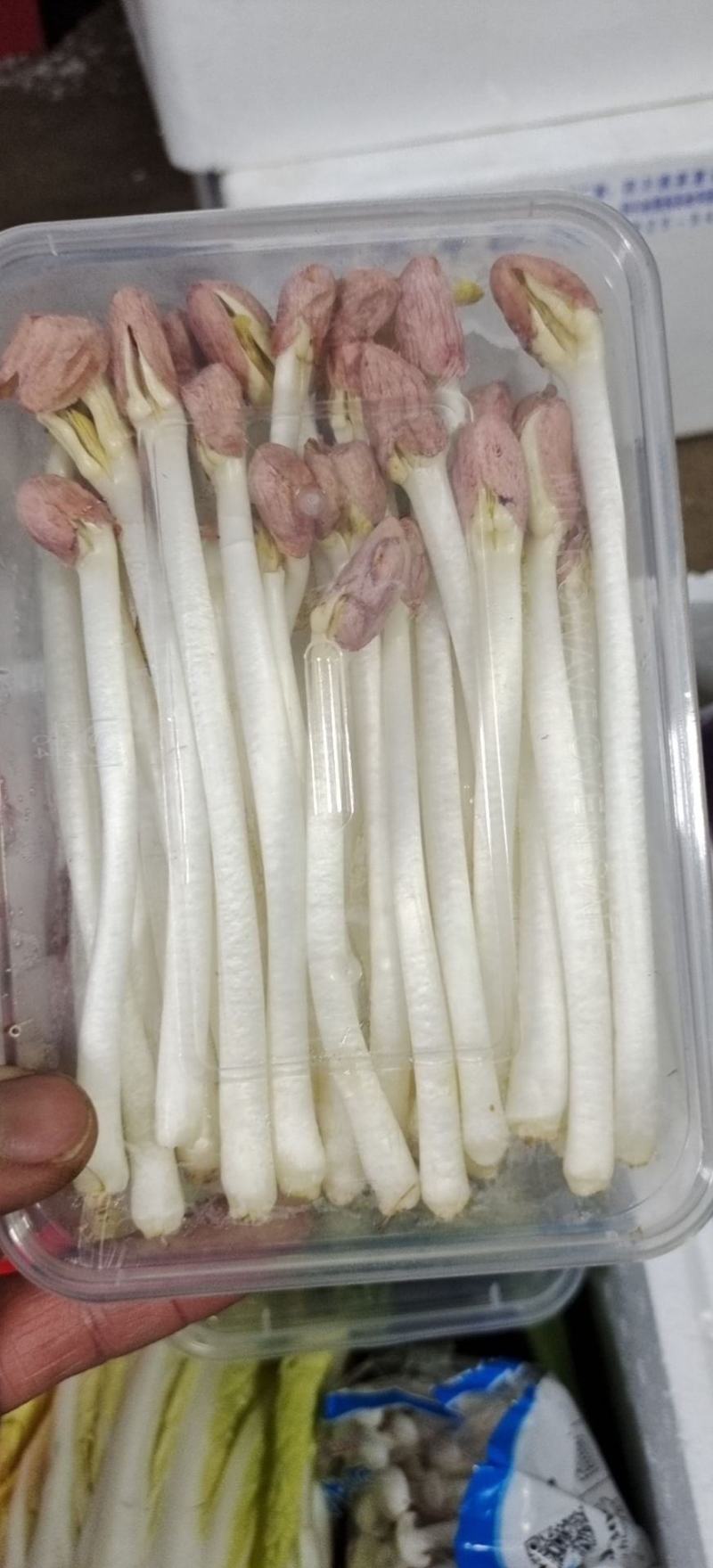 精品盒装花生芽大量有货品质保证诚信经营对接全国欢迎采购！