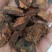 一公斤包邮没药量大从优制没药