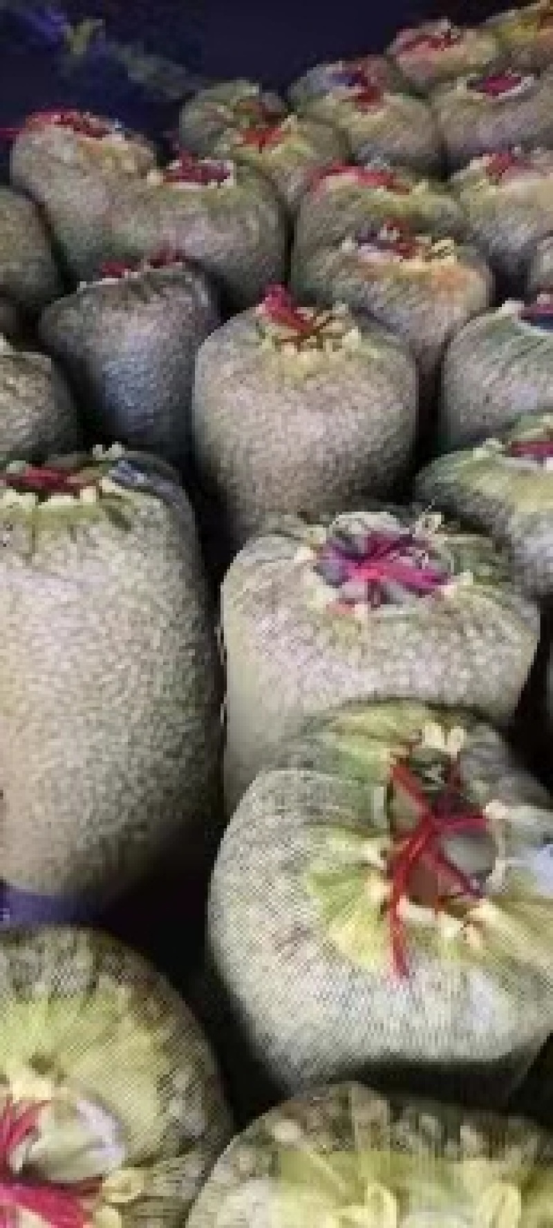 精品鲜花生，货源充足，基地直供，保质保量，代发全国。