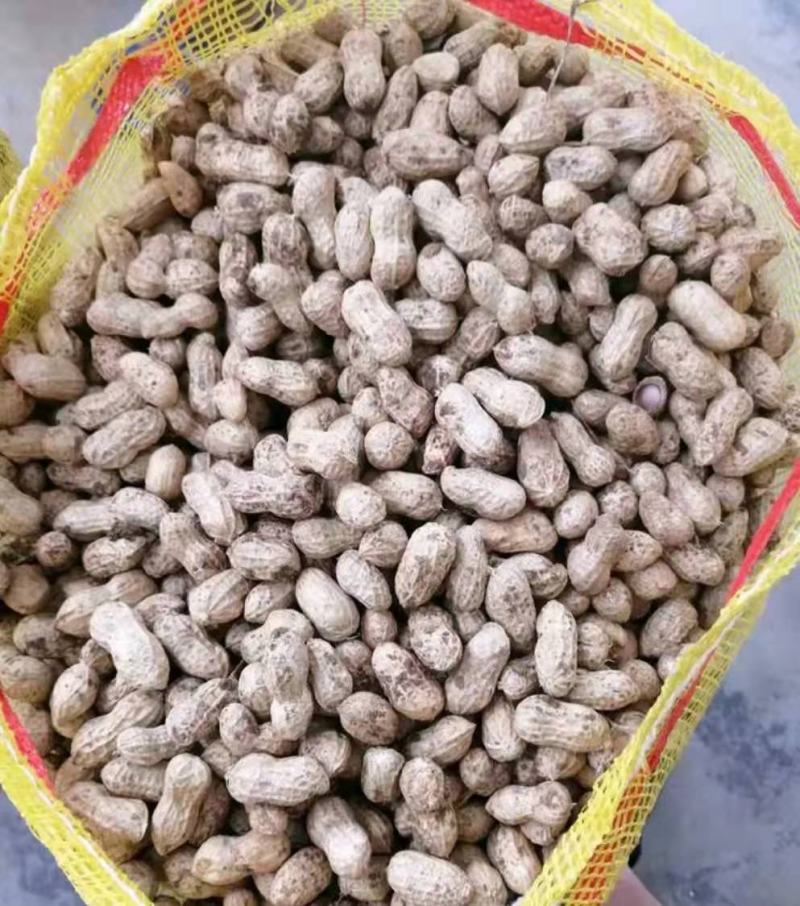 精品鲜花生，货源充足，基地直供，保质保量，代发全国。