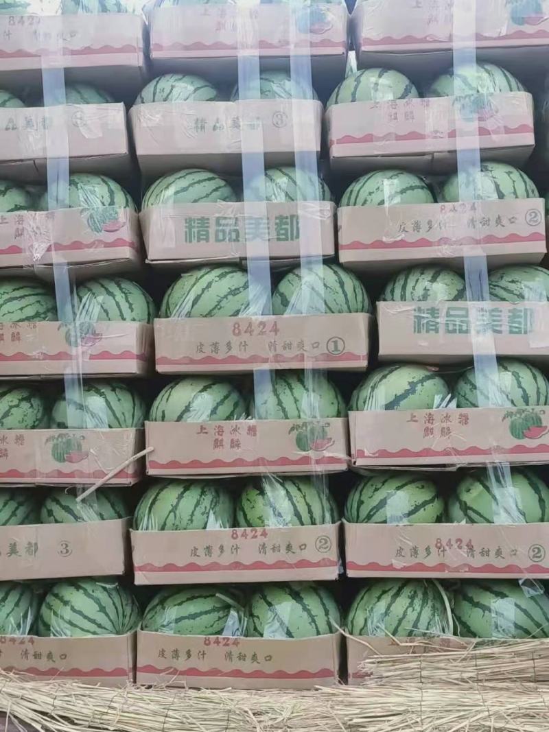 精品鲜西瓜，美都，8424，甜王，黑美人，龙卷风等