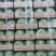 精品鲜西瓜，美都，8424，甜王，黑美人，龙卷风等
