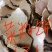 莱籽饼用与养殖用，也可以种植用，欢迎选购