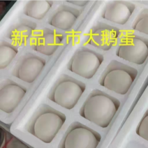 【精品】河北保定网红蛋，常年大量供应，欢迎选购