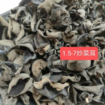 东北黑木耳质量上乘物美价廉产地直销全国发货