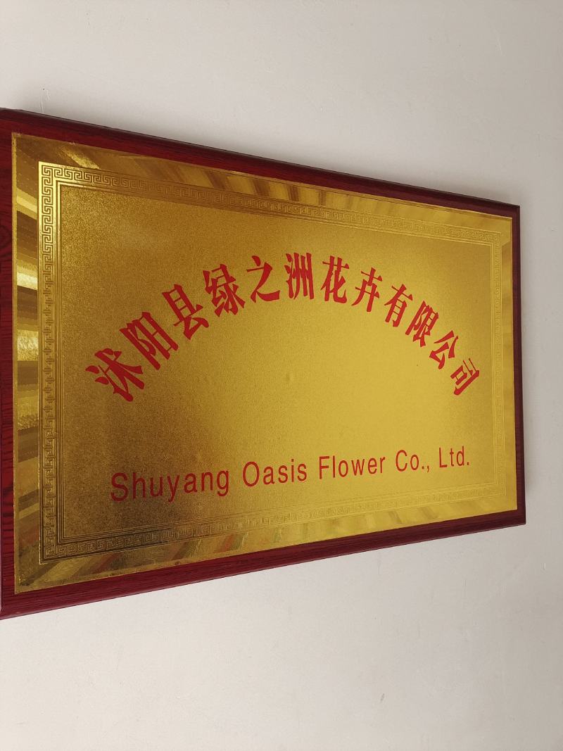 大量供应进口紫花苜蓿种子包芽率国内送货上门