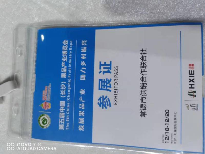 柑橘类