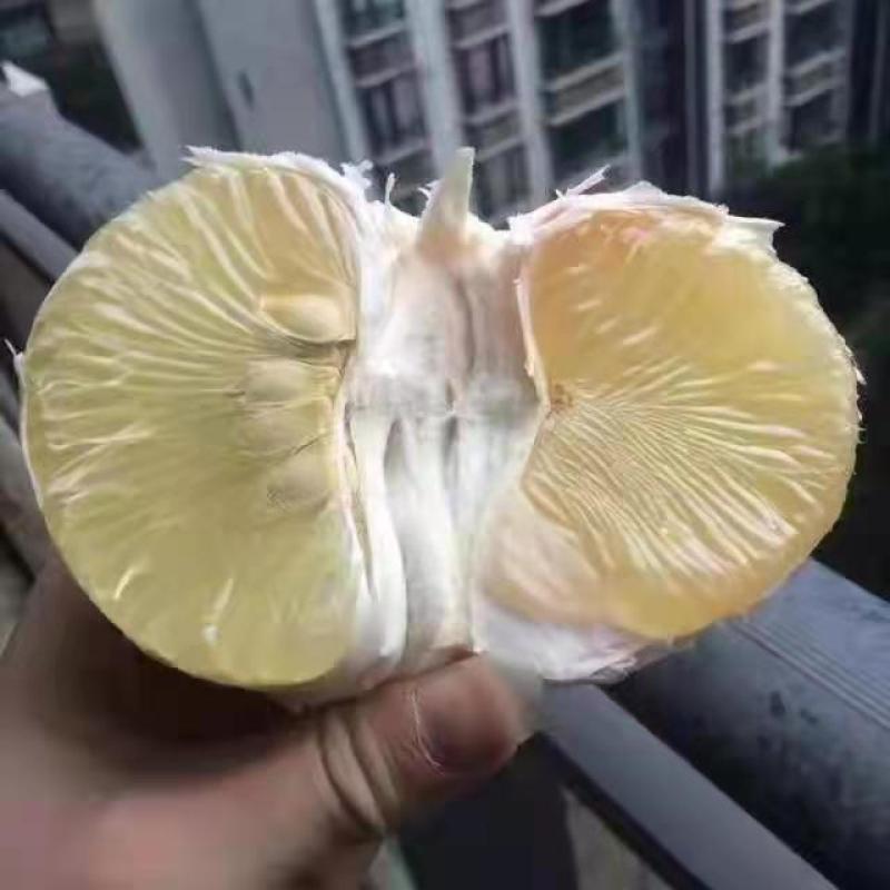 柑橘类