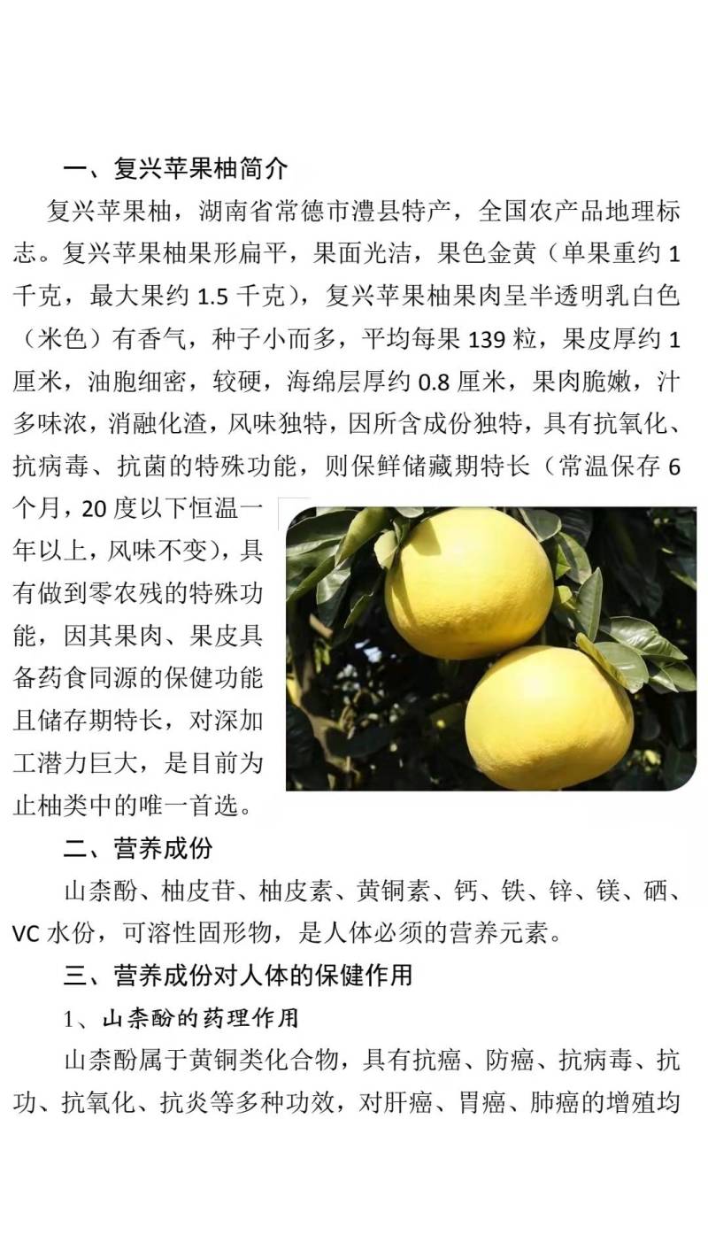 柑橘类