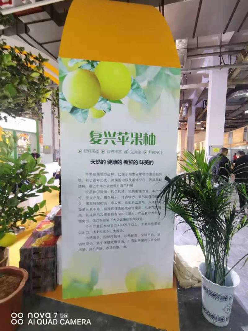 柑橘类