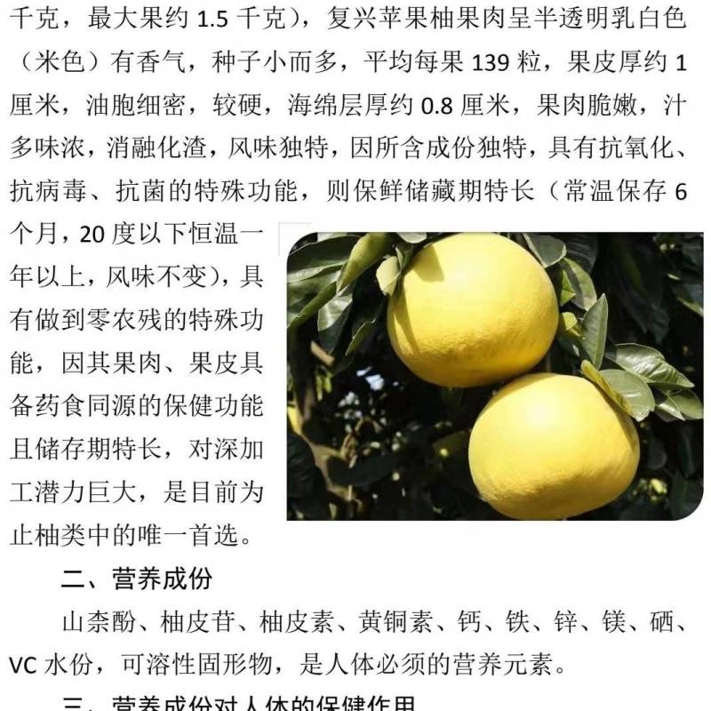 柑橘类