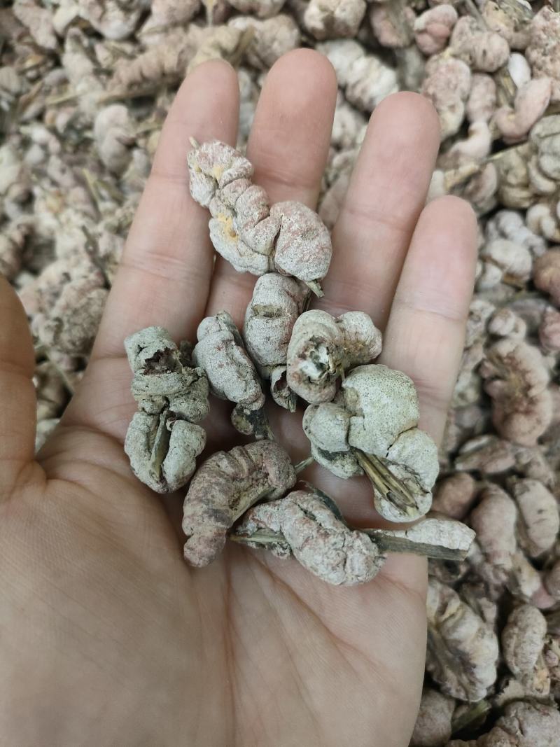 竹黄别名竹花，天竹花，淡竹黄货净足斤足量纯无硫。
