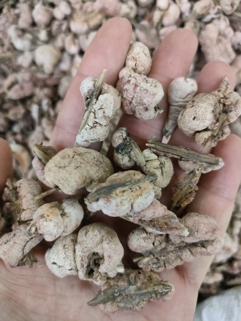 竹黄别名竹花，天竹花，淡竹黄货净足斤足量纯无硫。