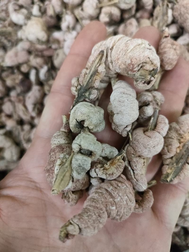 竹黄别名竹花，天竹花，淡竹黄货净足斤足量纯无硫。