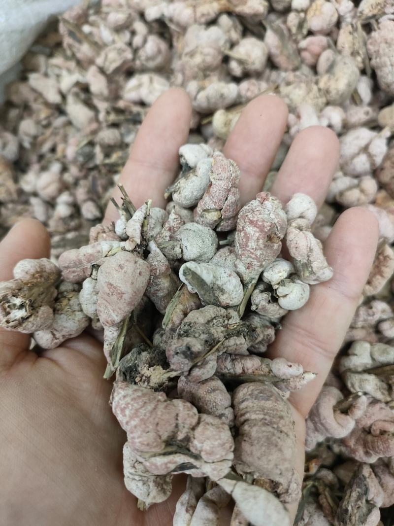 竹黄别名竹花，天竹花，淡竹黄货净足斤足量纯无硫。