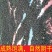 云南优质大天门冬种子天冬种籽天门冬种籽天冬