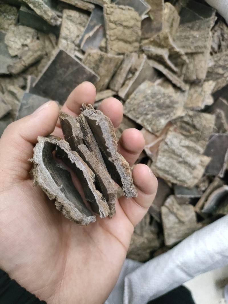杜仲精品磨皮杜仲，老树皮杜仲，杜仲丝各种规格足斤足量。