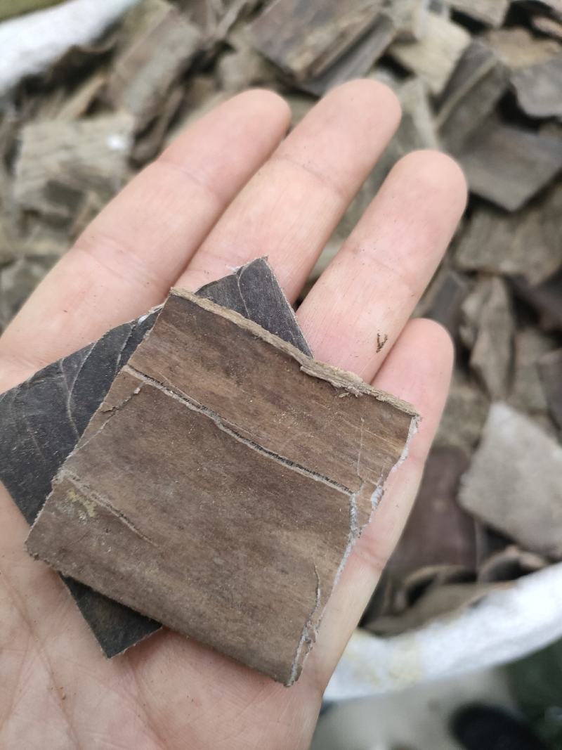 杜仲精品磨皮杜仲，老树皮杜仲，杜仲丝各种规格足斤足量。