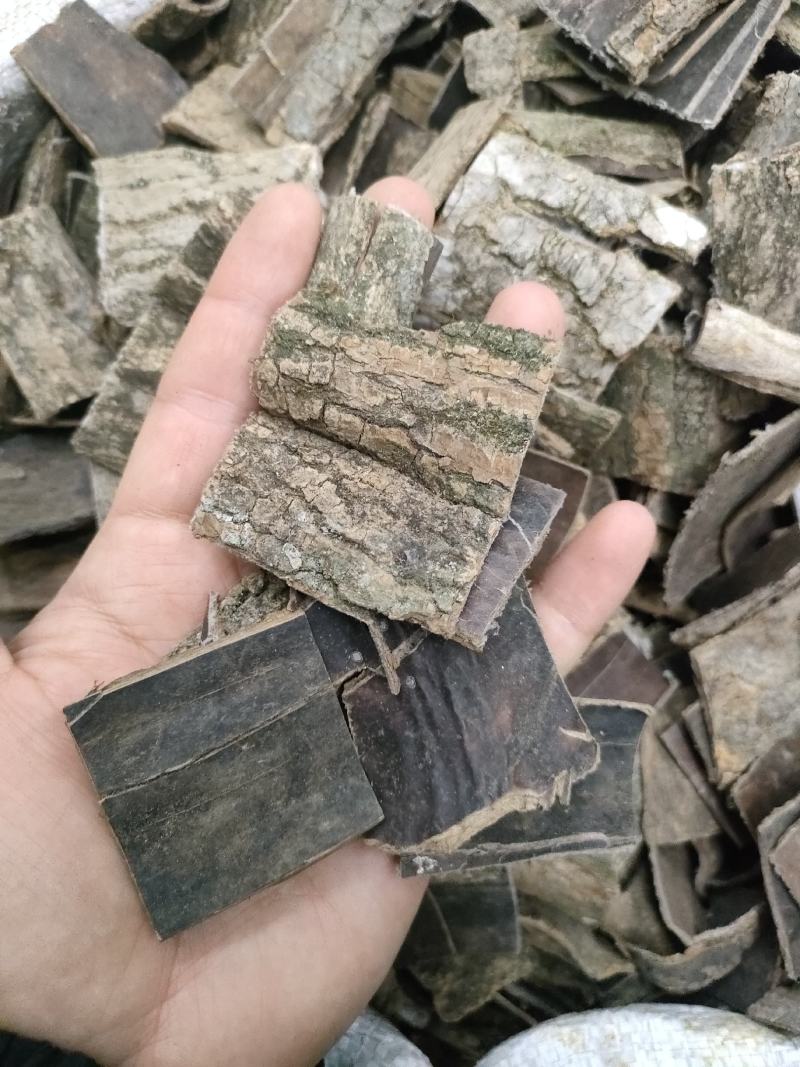 杜仲精品磨皮杜仲，老树皮杜仲，杜仲丝各种规格足斤足量。
