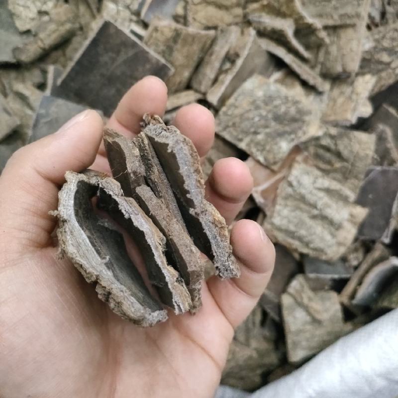 杜仲精品磨皮杜仲，老树皮杜仲，杜仲丝各种规格足斤足量。