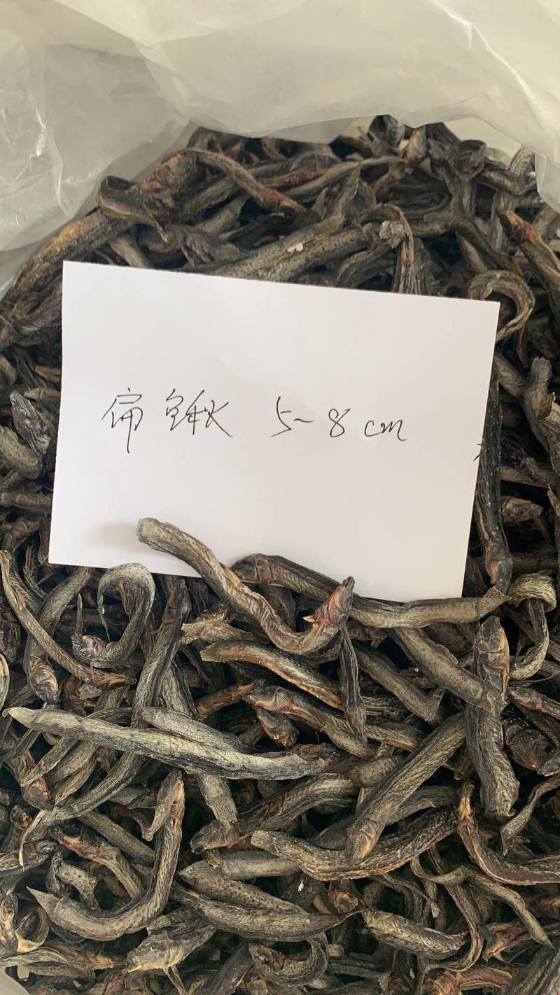 泥鳅干，各种淡水鱼干，各种规格，支持鲜货或加工