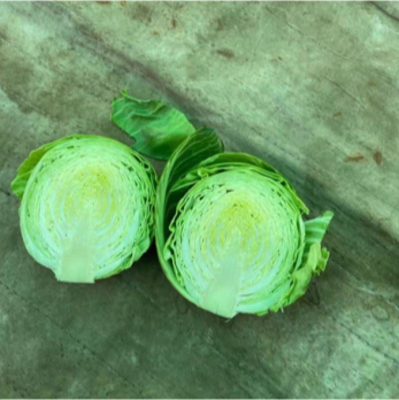 圆包菜湖北精品甘蓝斯特丹，产地直发，保质保量