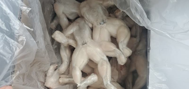 免浆牛蛙