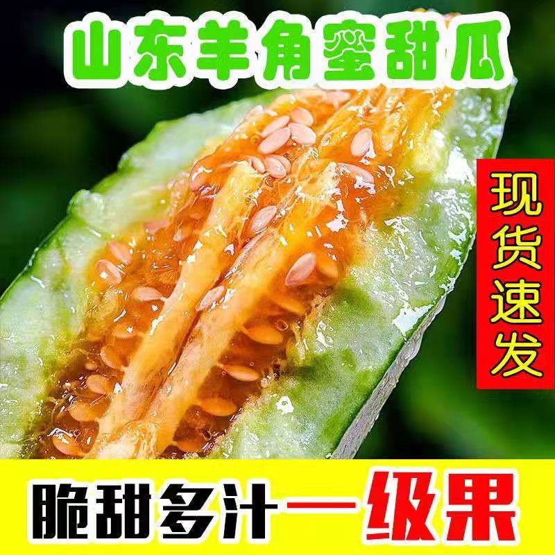 【甜瓜】羊角脆甜瓜1.5斤以上，产地直供品质保证欢迎来电咨