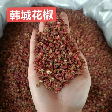 精选陕西韩城花椒特级货，产地直发，价格实惠，欢迎选购