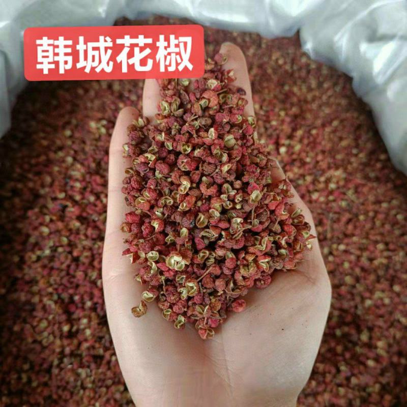 精选陕西韩城花椒特级货，产地直发，价格实惠，欢迎选购
