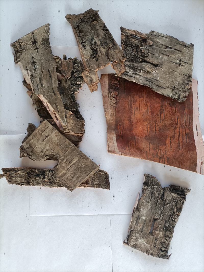 中药桦树皮/白桦皮/桦树皮/白桦皮/品质保证/合作共赢/