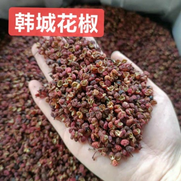 韩城花椒1级，麻麻麻，新货上市，麻香味足，欢迎抢购