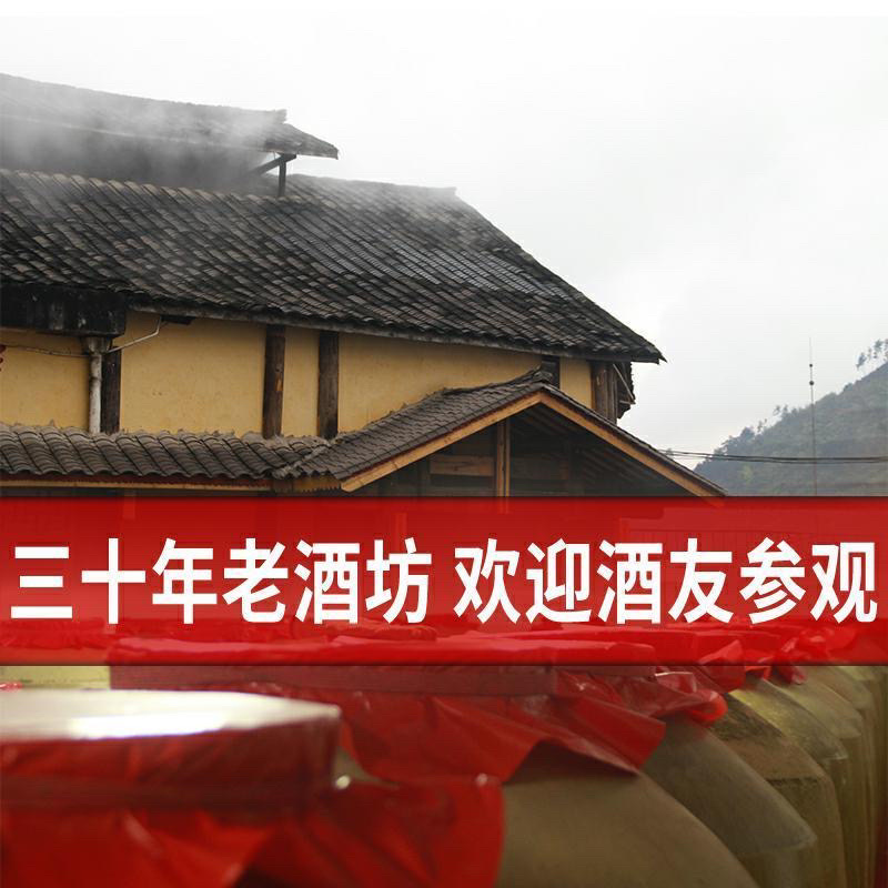 【包邮_5升白酒】泸州52度60度浓香型特曲纯高粱酒