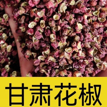 甘肃花椒，颜色巴适，产地直销