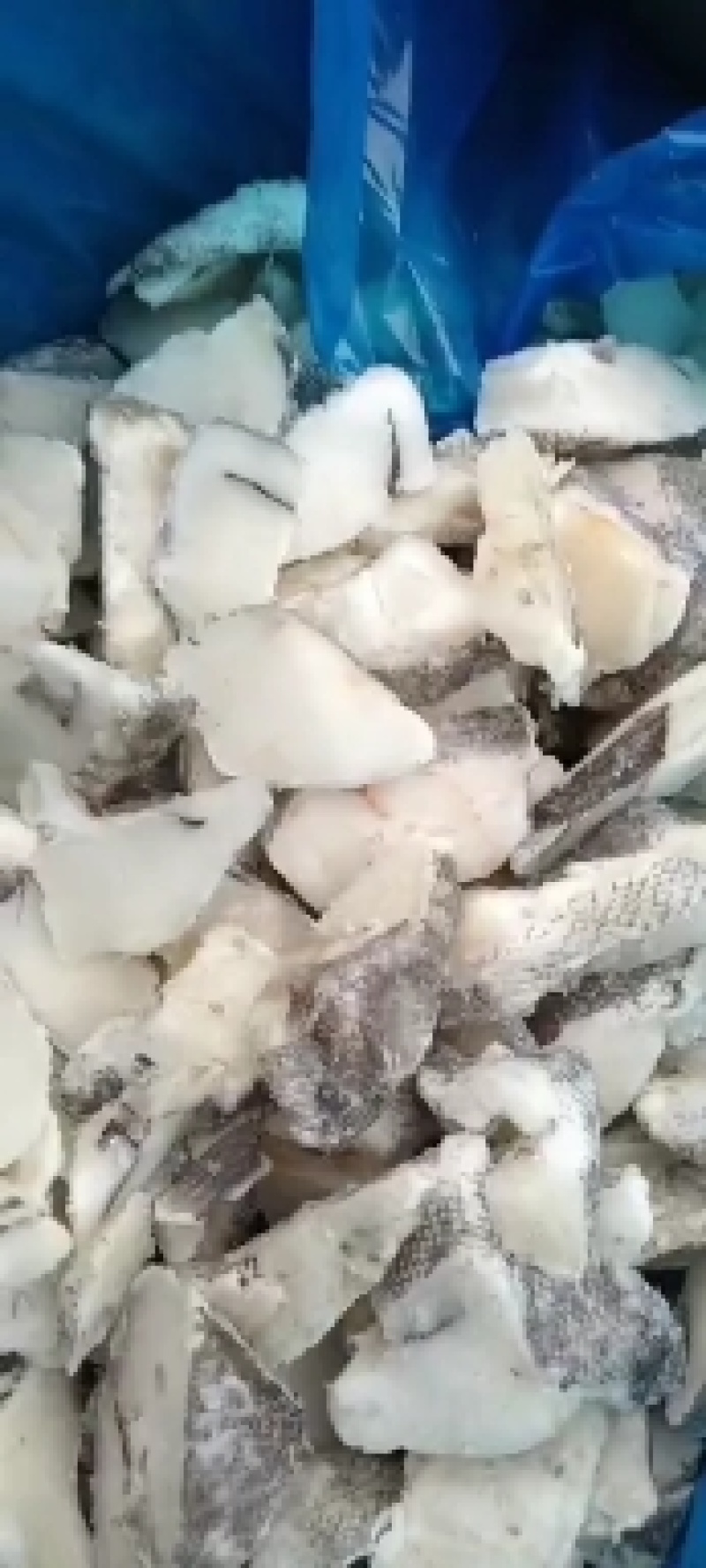 工厂直营店干冰鳕鱼小块
