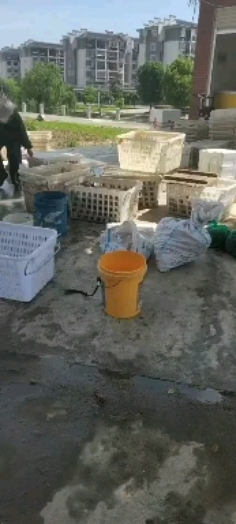 精品小龙虾
