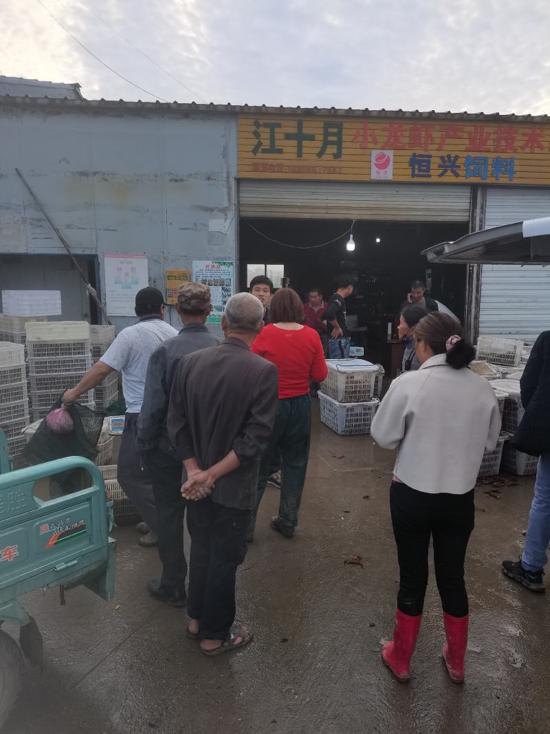 精品小龙虾