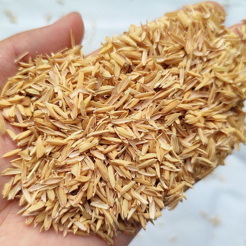 新鲜稻谷壳粗糠壳谷子壳稻糠壳动物宠物垫料枕头枕芯防震填充