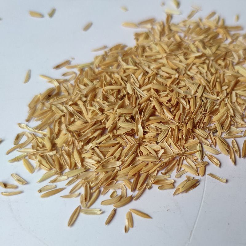 新鲜稻谷壳粗糠壳谷子壳稻糠壳动物宠物垫料枕头枕芯防震填充