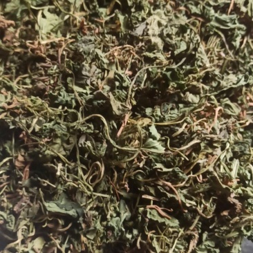 紫花地丁地丁中药材批发地丁产地直销质量保证