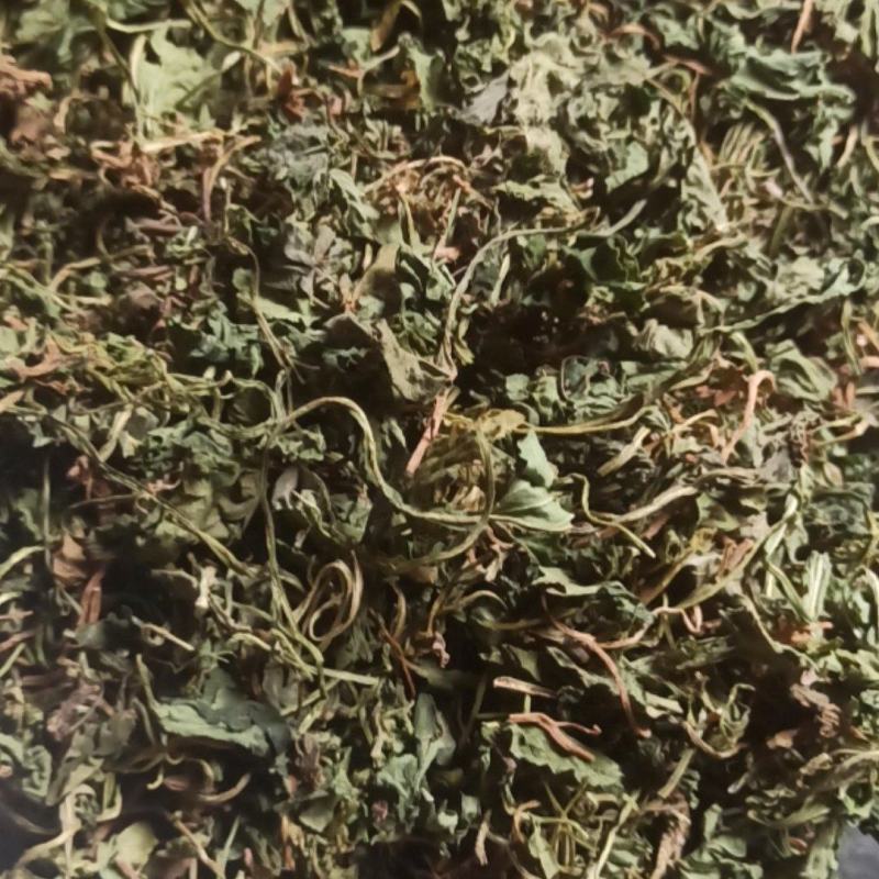 紫花地丁地丁中药材批发地丁产地直销质量保证