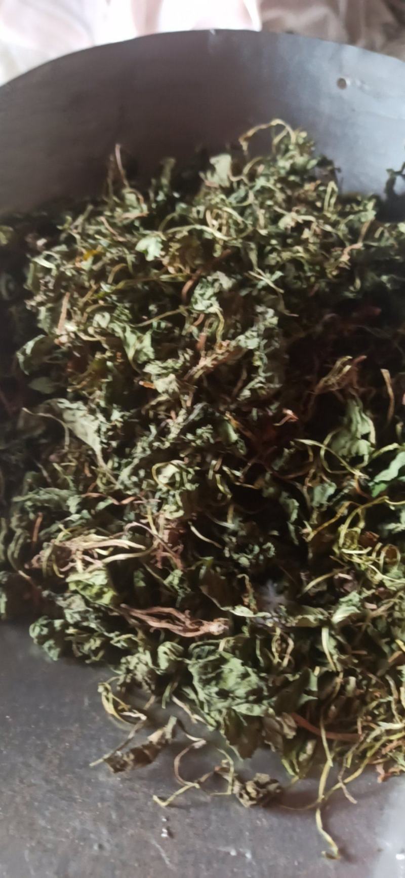 紫花地丁地丁中药材批发地丁产地直销质量保证