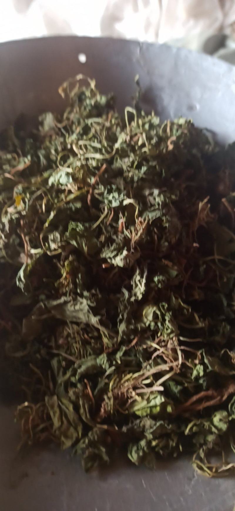 紫花地丁地丁中药材批发地丁产地直销质量保证