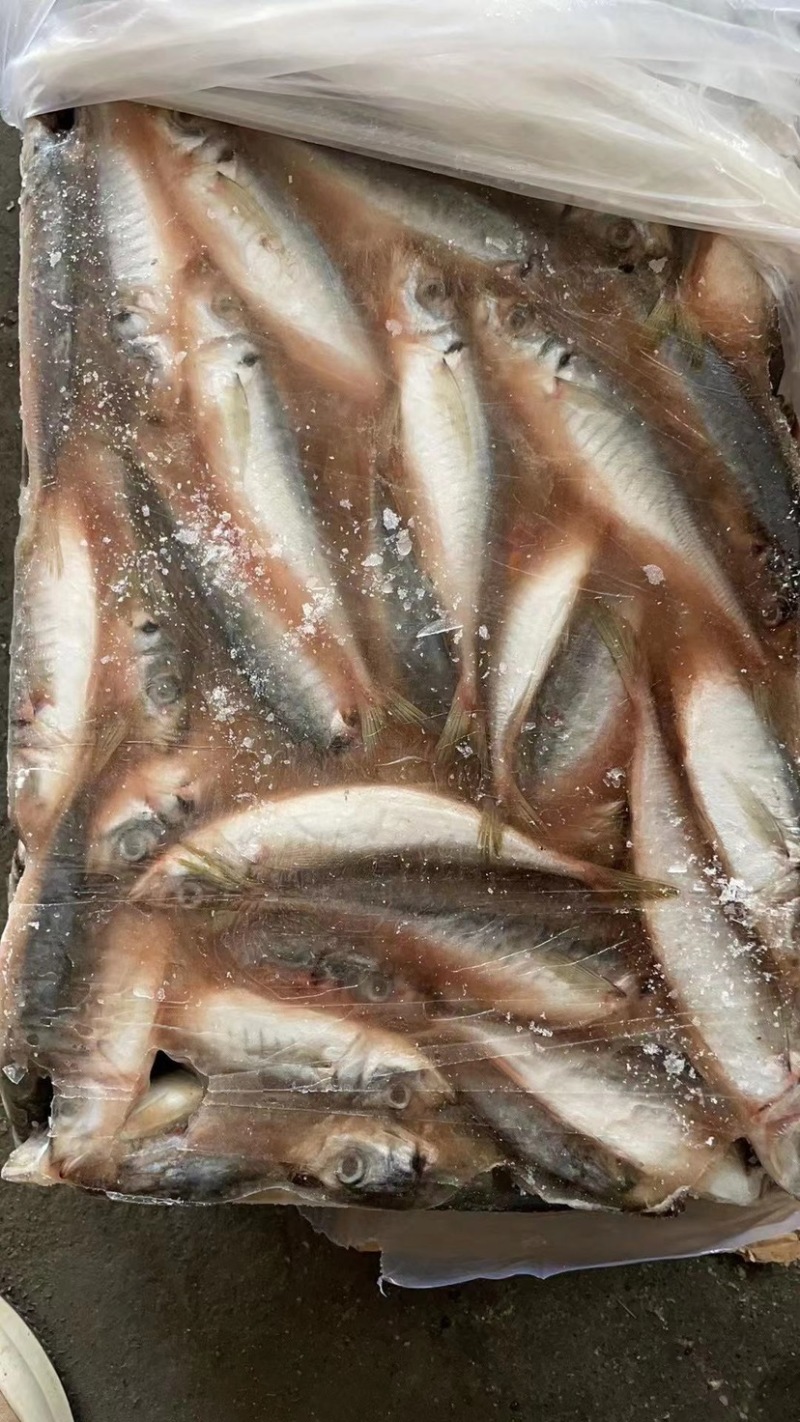 灯光包箱小眼巴郎统货