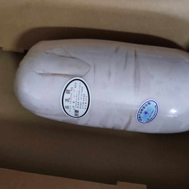 乳猪，小耳朵乳猪，2--40公斤大量现货，确保新鲜